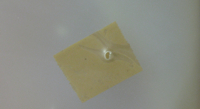 Applying a patch on your vacuum bag